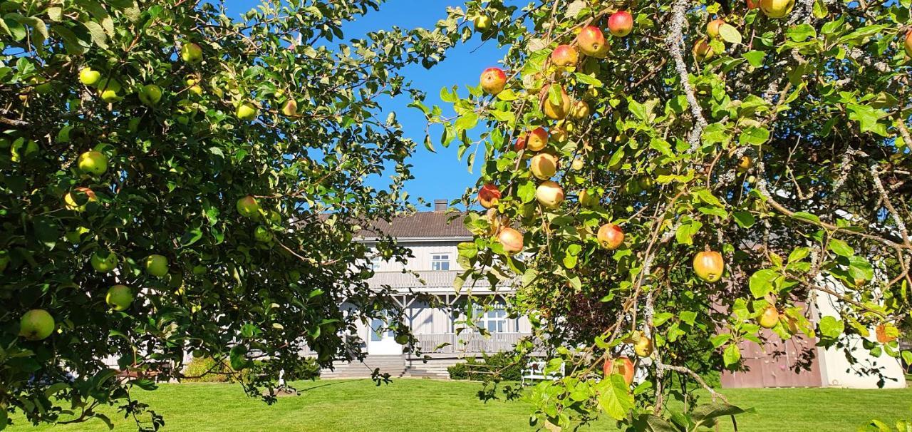 Stenbekk Hostel Sarpsborg Ngoại thất bức ảnh